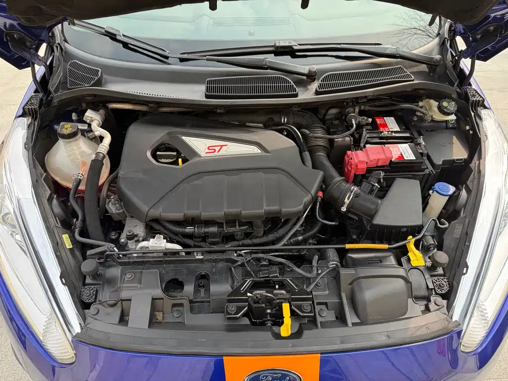 Ford Fiesta 2014 — фото 14