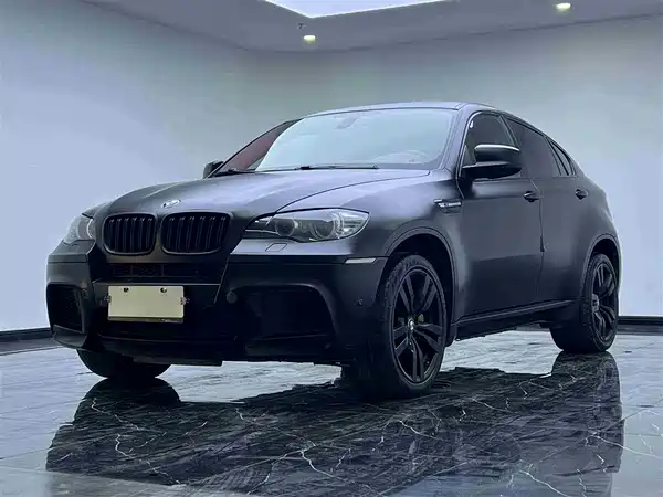 BMW X6 M 2010