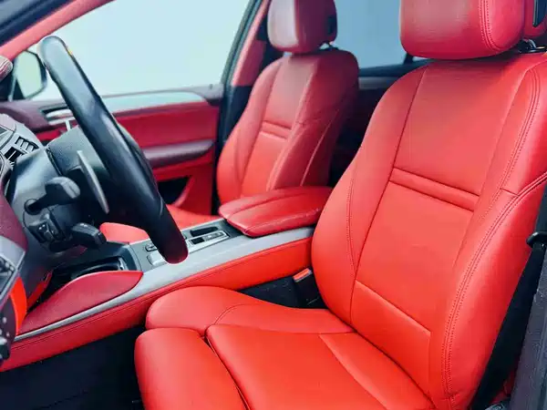 BMW X6 M 2010