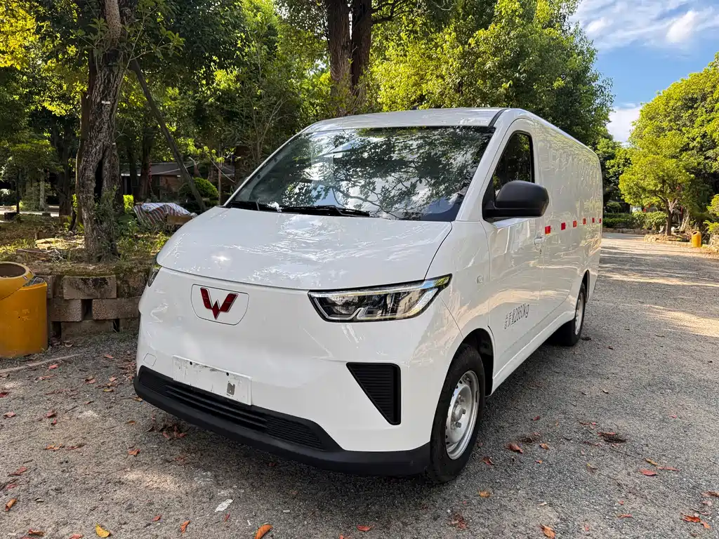 Wuling Yangguang 2025