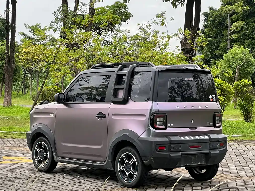 Geely Galaxy Panda 2024 — фото 18