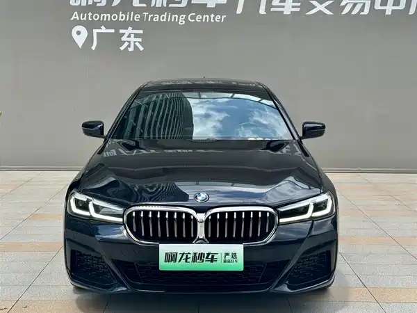 BMW 5 Series New Energy 2022