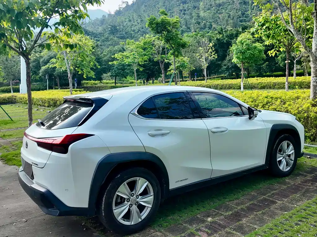 Lexus UX 2019 — фото 19