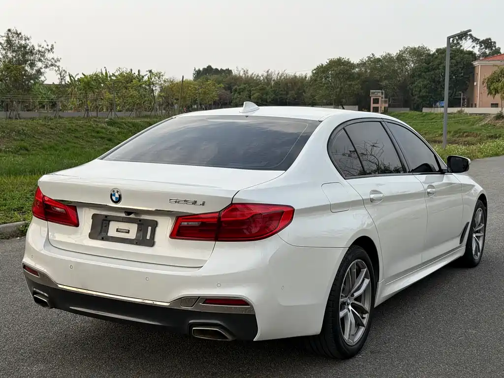 BMW 5 Series 2019 — фото 17