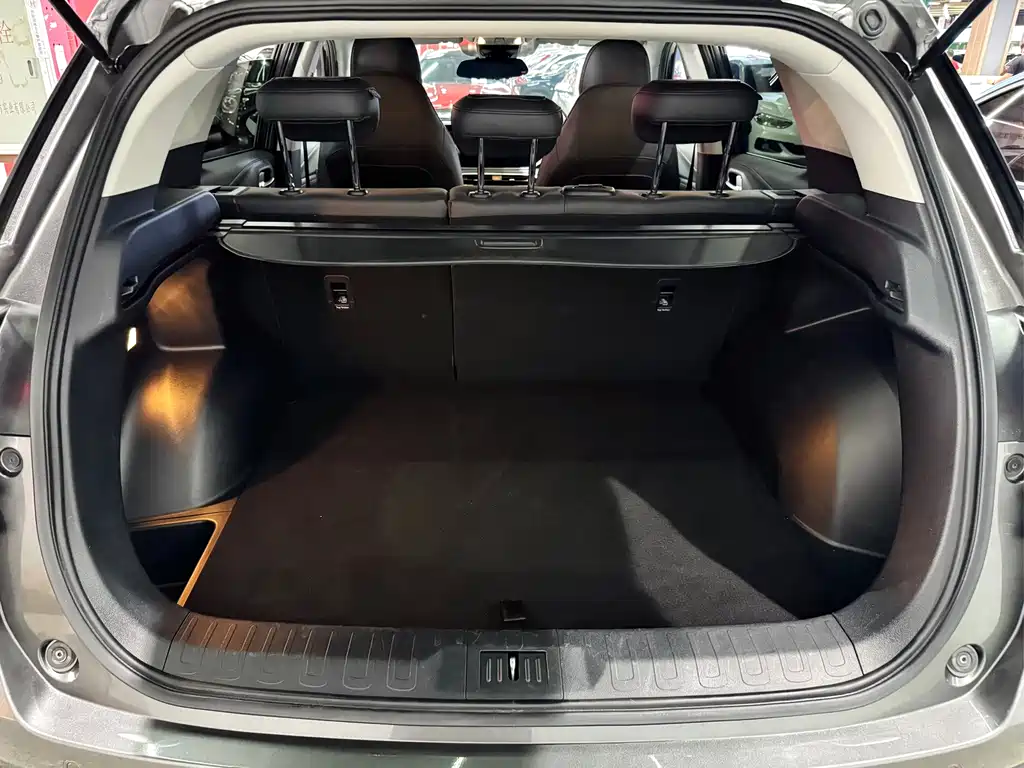 GAC Motor Trumpchi GS4 2020 — фото 22