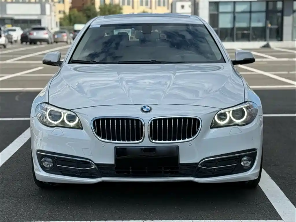 BMW 5 Series 2017 — фото 3