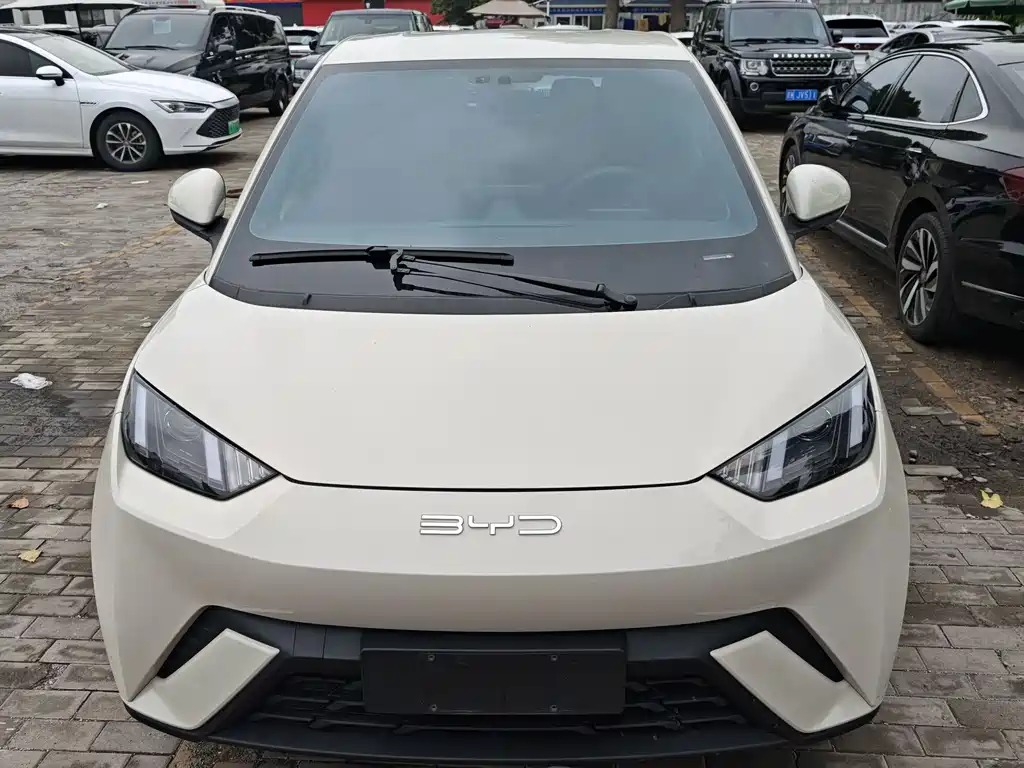 BYD Seagull 2024