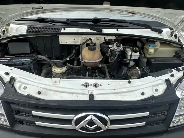 Maxus V80 2019