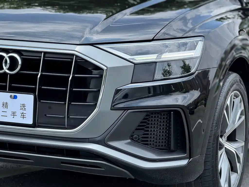 Audi Q8 2020 — фото 17