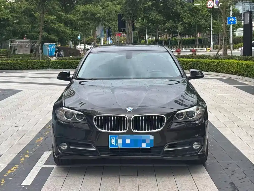 BMW 5 Series 2015