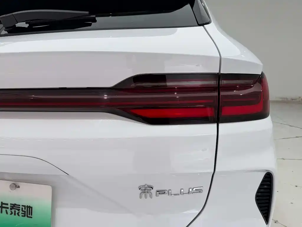 BYD Song PLUS New Energy 2025 — фото 8