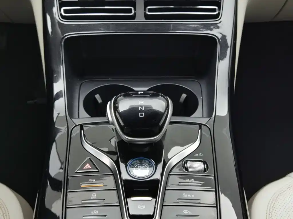 BYD Qin PLUS 2024 — фото 13