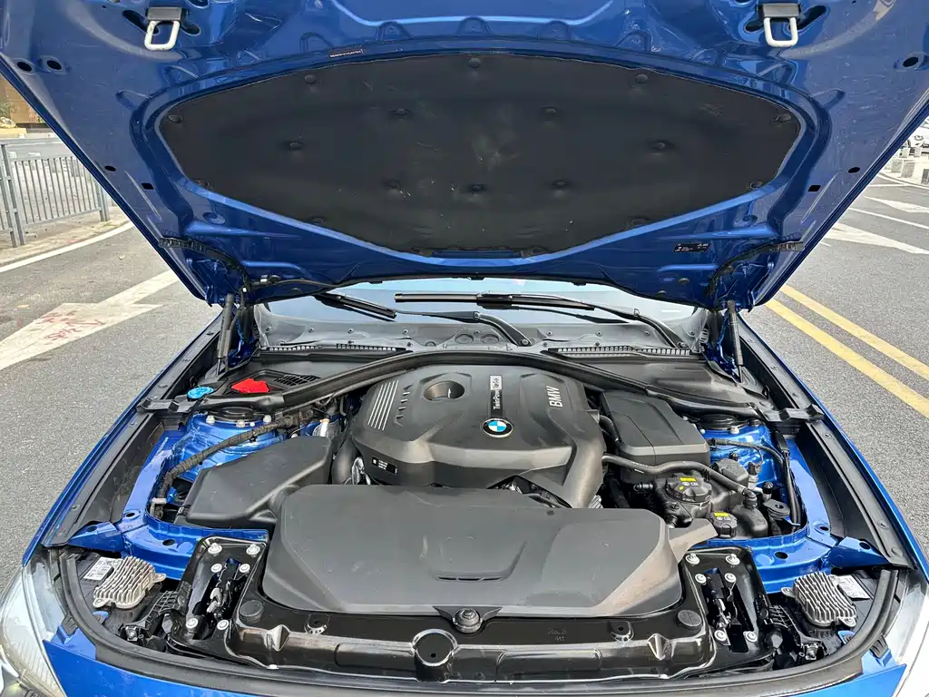 BMW 3 Series GT 2017 — фото 21
