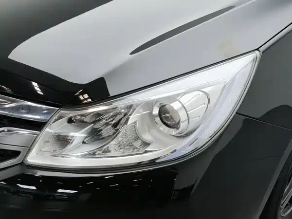 BYD Surui 2017