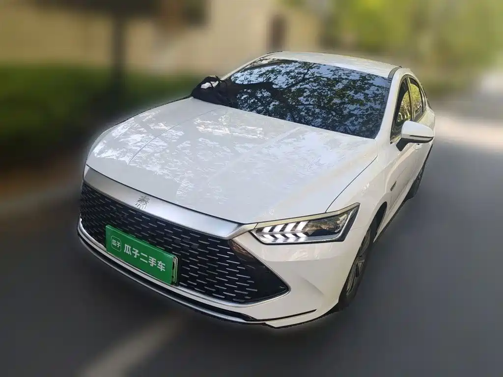 BYD Qin PLUS 2024 — фото 2
