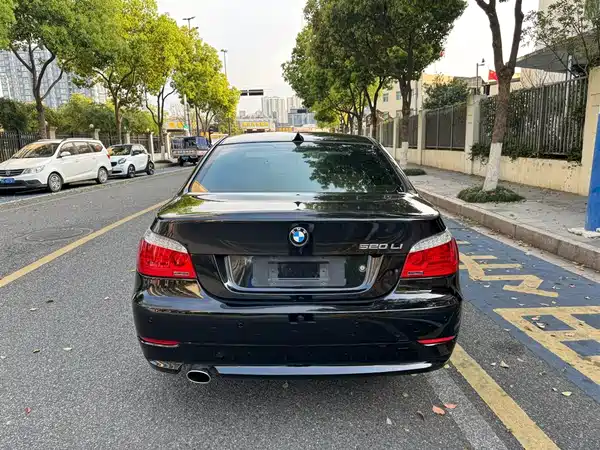 BMW 5 Series 2010