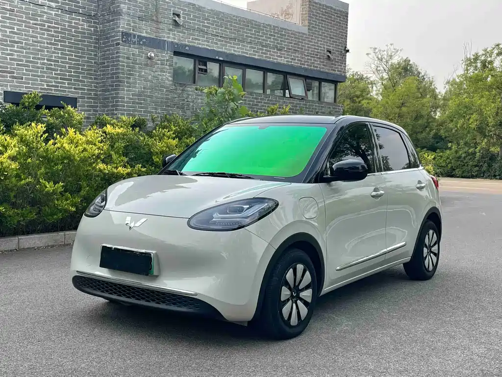 Wuling Bingo 2024