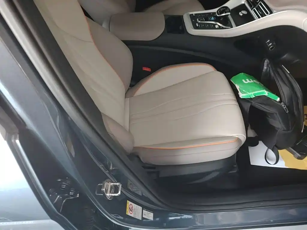 BYD Song Pro New Energy 2024 — фото 25