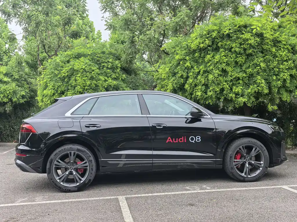 Audi Q8 2025 — фото 13