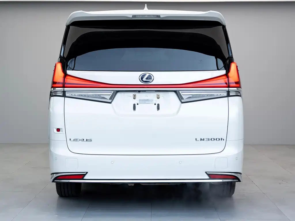 Lexus LM 2020 — фото 18