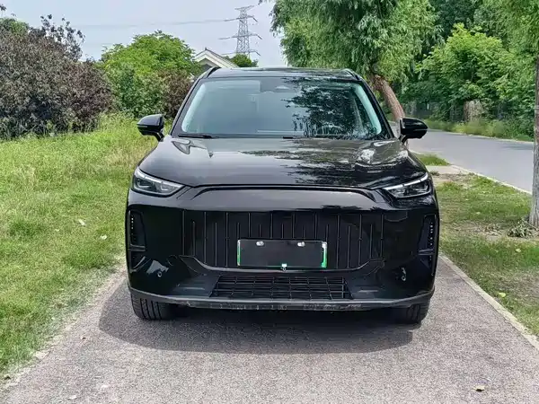 Chery Fengyun T9 2024