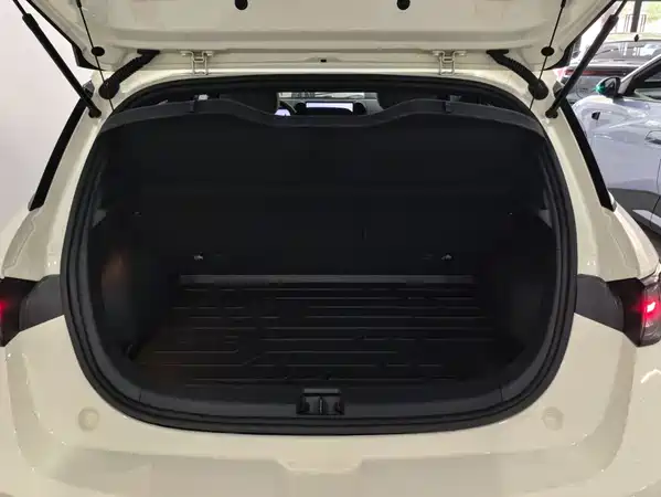 BYD Dolphin 2025