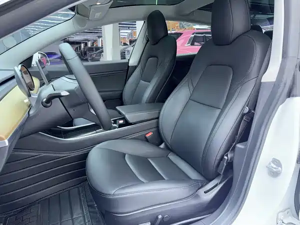 Tesla Model 3 2019