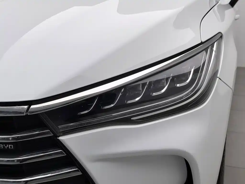 BYD MAX 2019