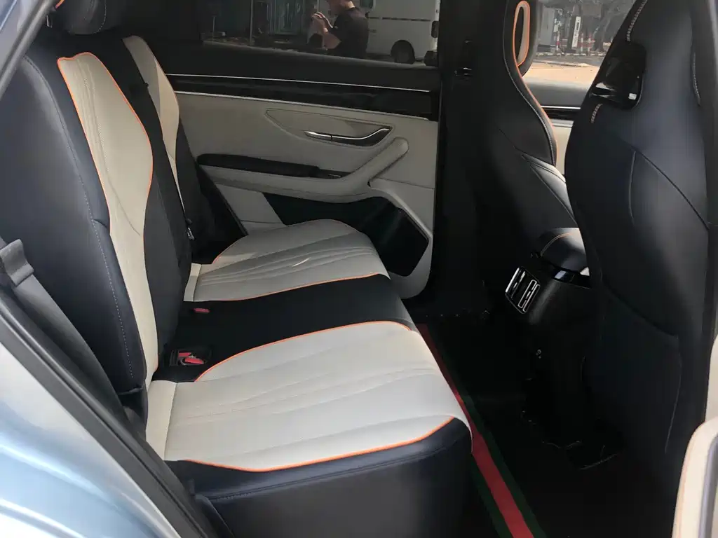 BYD PLUS New Energy 2023 — фото 12