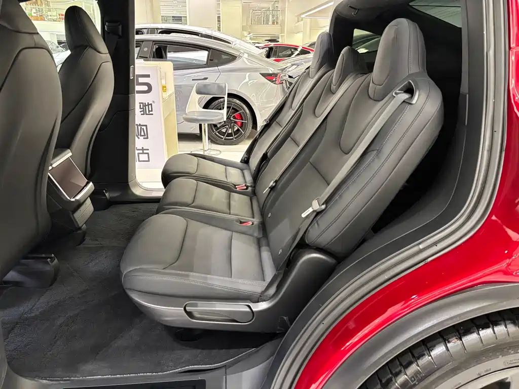 Tesla Model X 2023 — фото 16