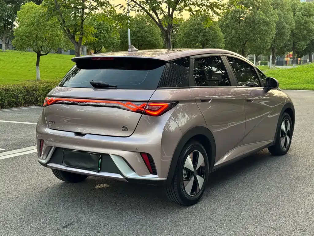 BYD Dolphin 2024