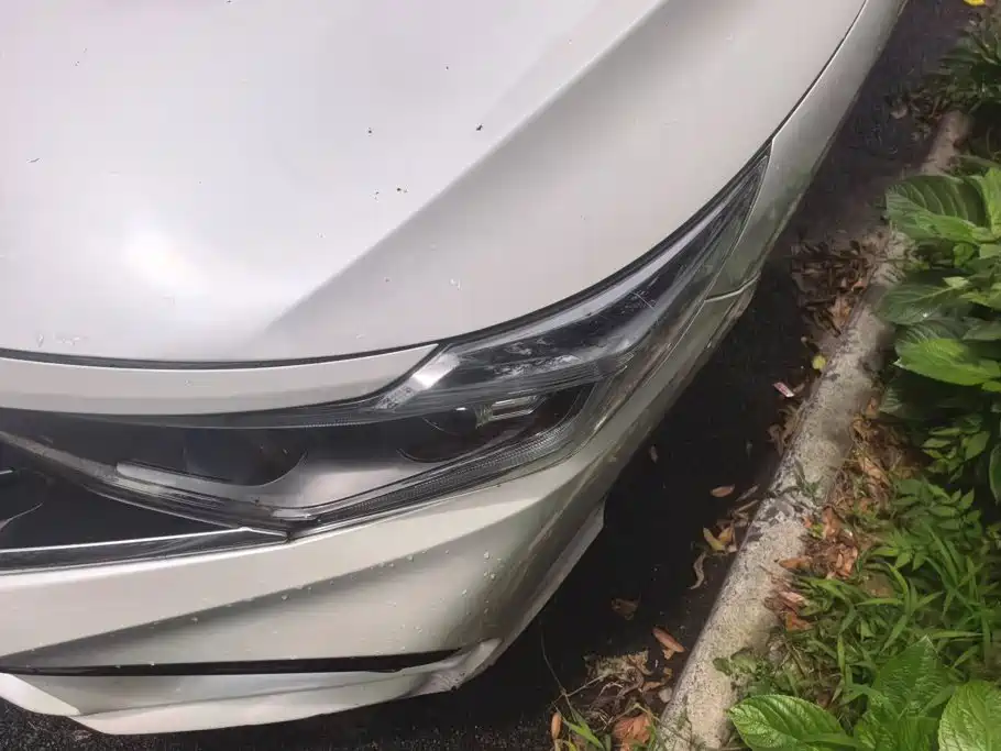 Honda Envix 2019