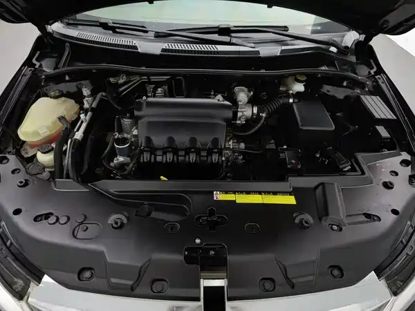 BYD Surui 2017