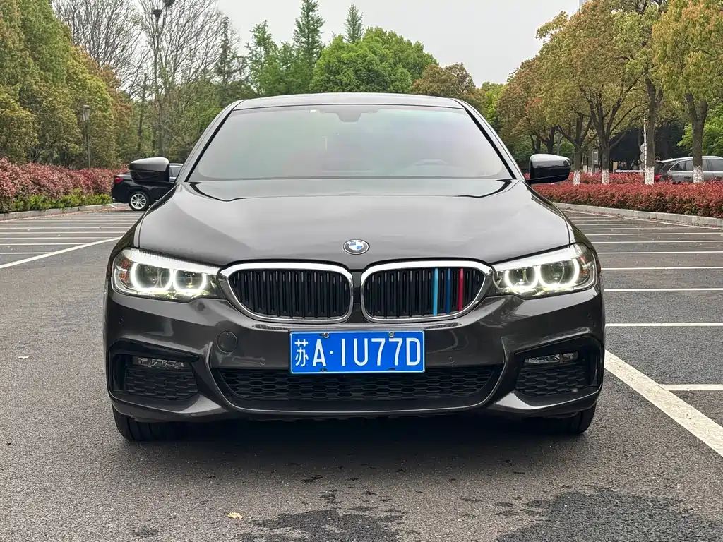 BMW 5 Series 2019