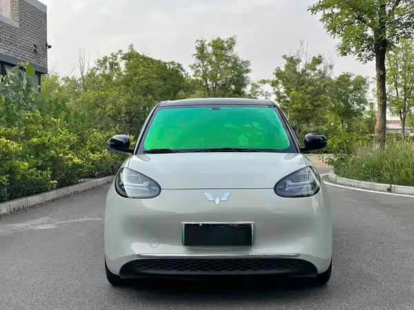 Wuling Bingo 2024