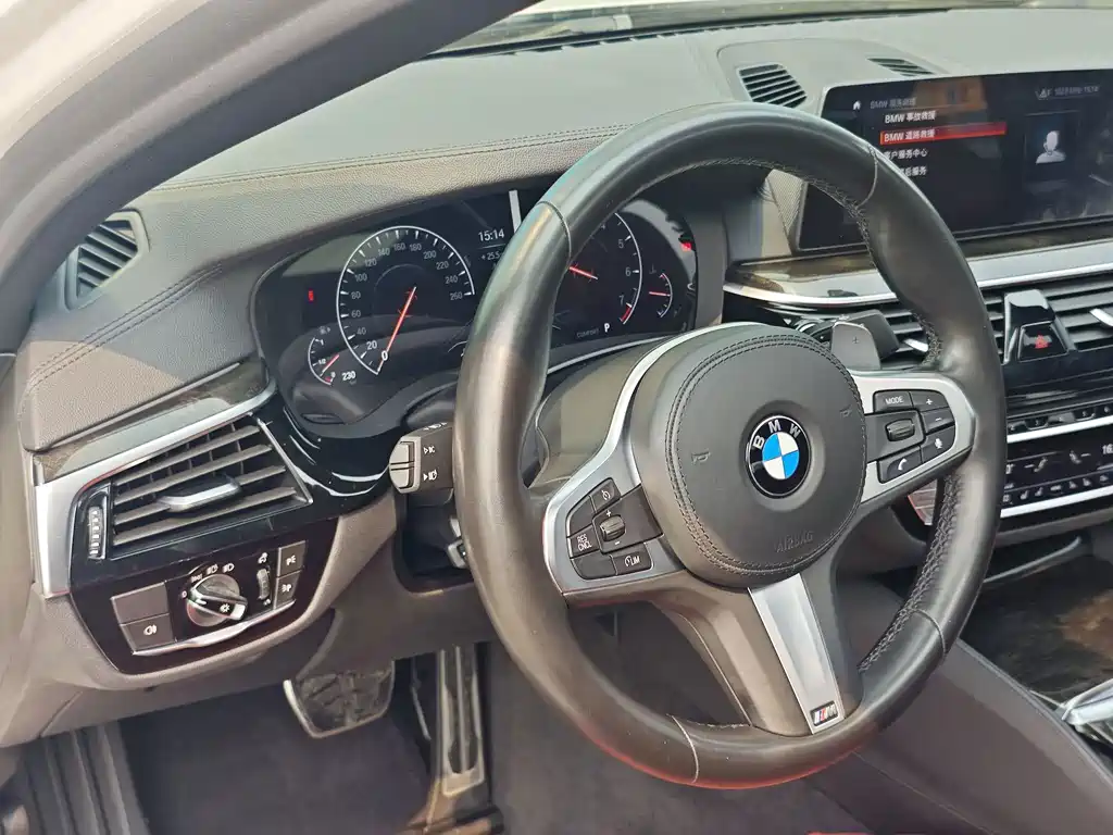 BMW 5 Series 2019 — фото 13