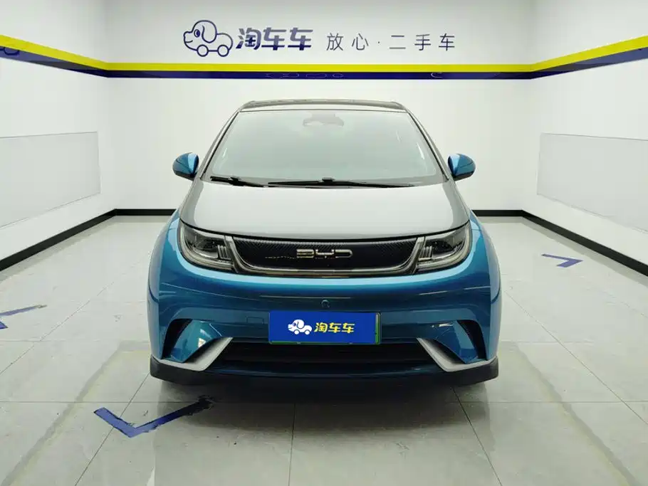 BYD Dolphin 2022
