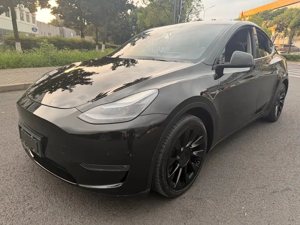 Tesla Model Y 2021 — фото 1