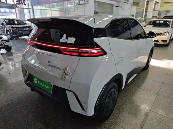 BYD Seagull 2024