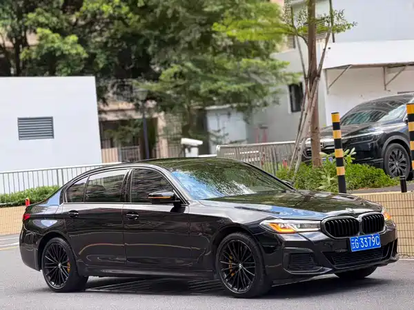 BMW 5 Series 2021