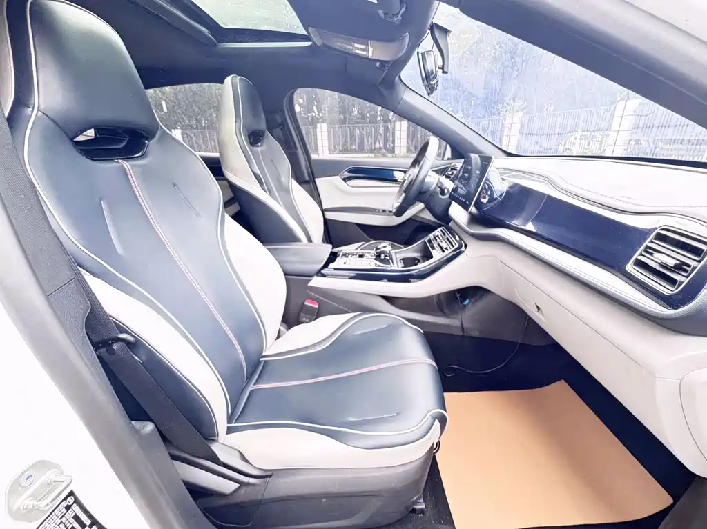 BYD Qin PLUS 2021 — фото 10