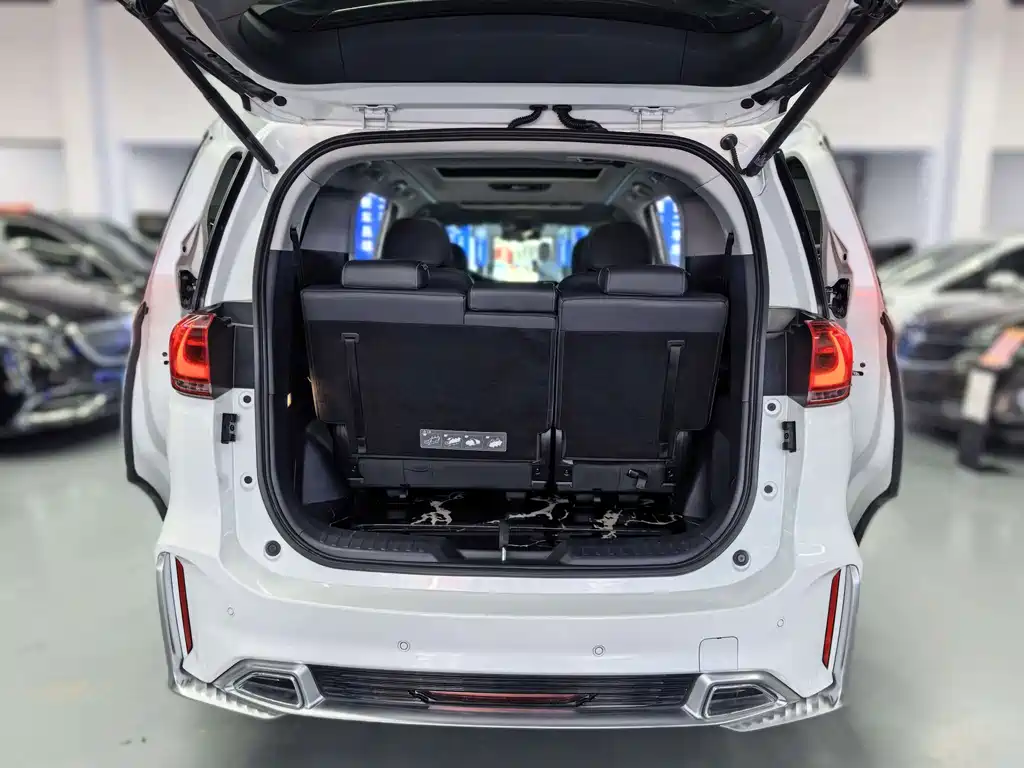 GAC Trumpchi M8 2022 — фото 15