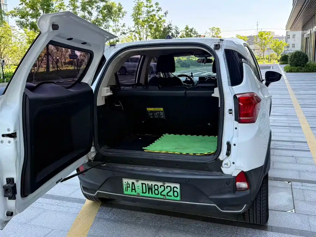 BYD Yuan New Energy 2020