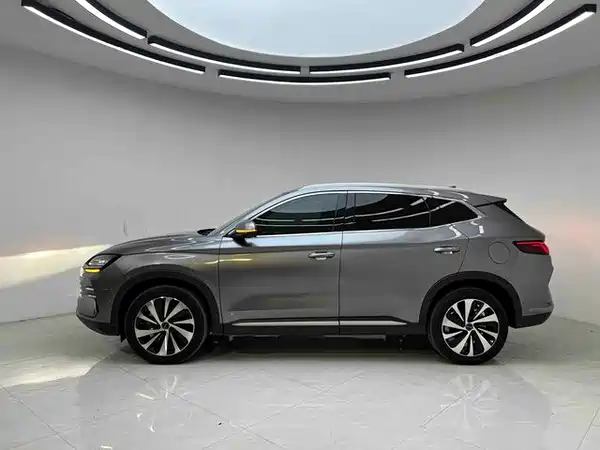 BYD Song PLUS New Energy 2024