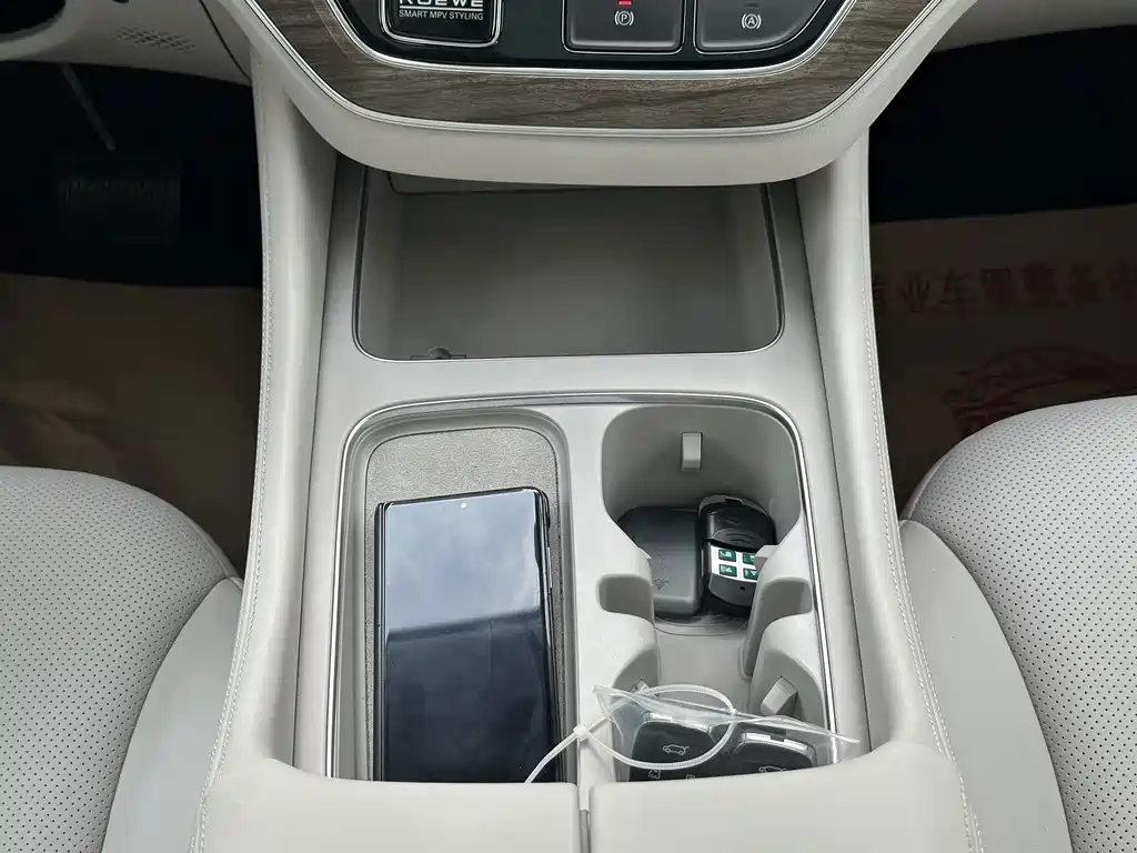 Roewe iMAX8 New Energy 2024 — фото 18