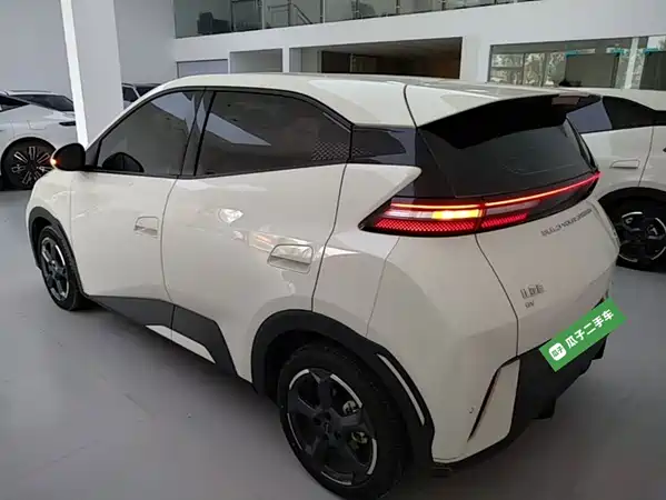 BYD Seagull 2024
