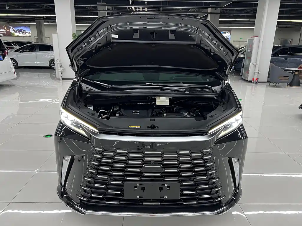 Lexus LM 2024 — фото 27