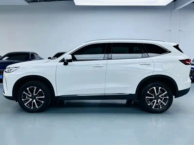 Haval H6 2023 — фото 10