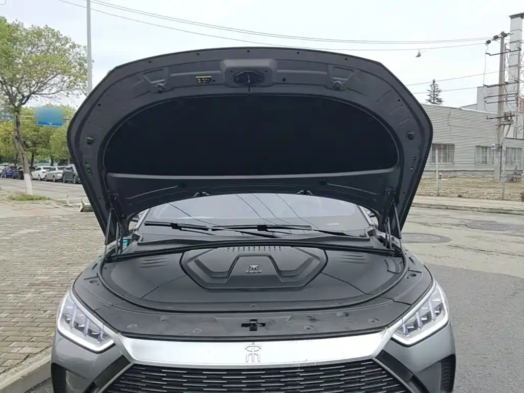 BYD Song PLUS New Energy 2022 — фото 20