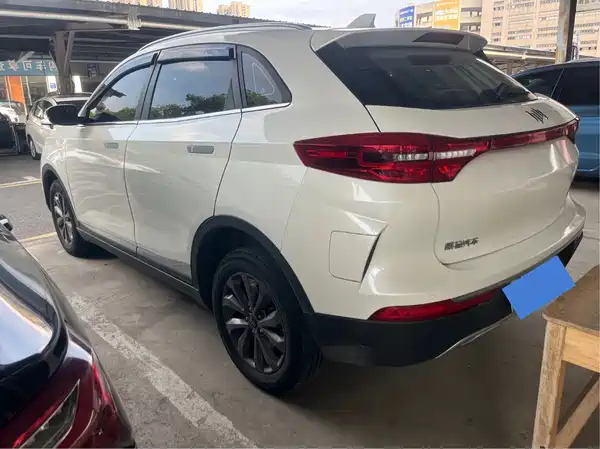 WM Motor EX5 2021